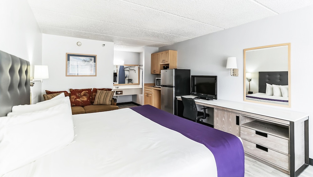 Standard Room, 1 King Bed, Non Smoking, Kitchenette - Photo 4