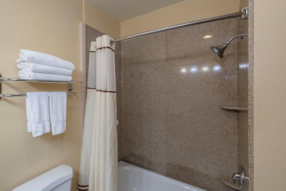 Executive Room, 1 King Bed - Photo 6