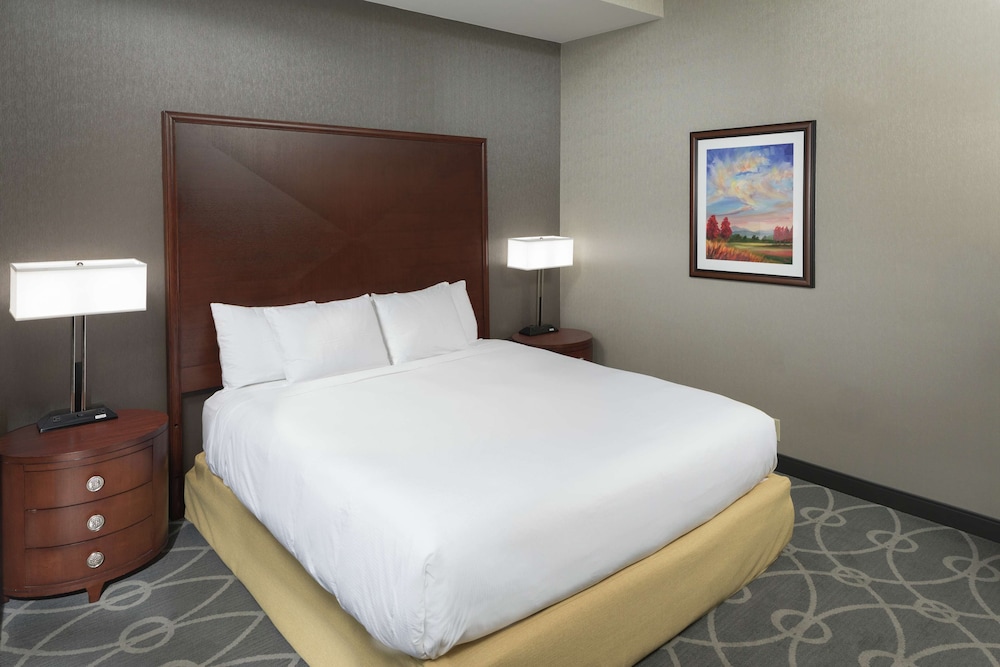 Premium Room, 1 King Bed, Accessible, Non Smoking - Photo 3