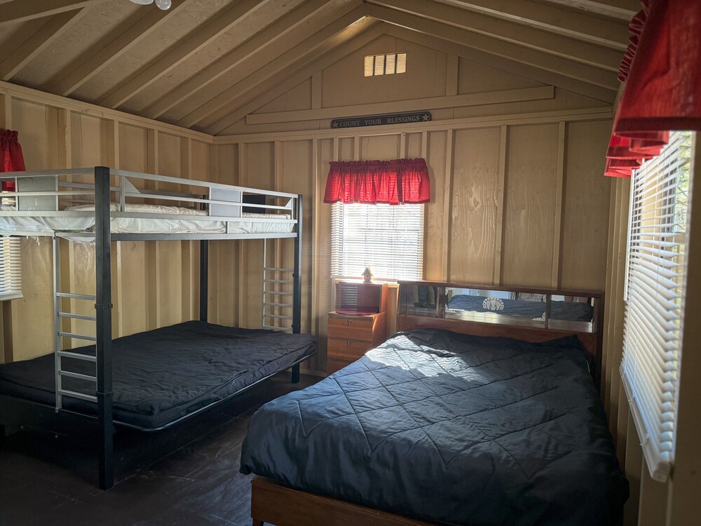 Senior Cabin photo 1