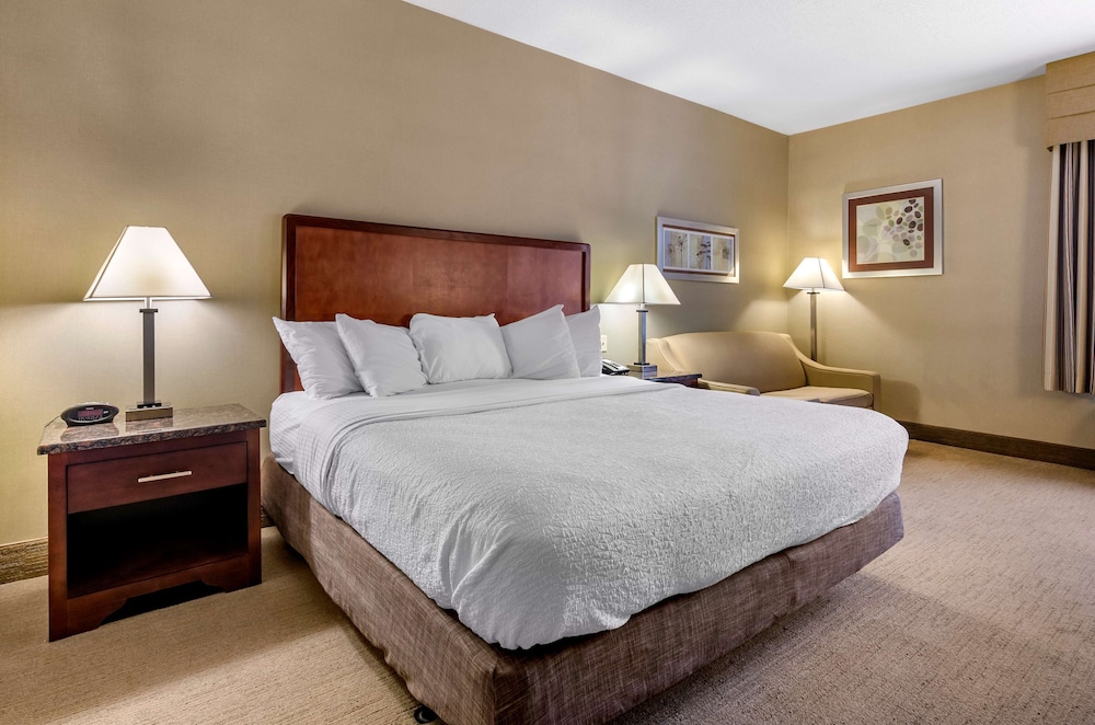 Standard Room, 1 King Bed, Non Smoking, Refrigerator & Microwave - Photo 2