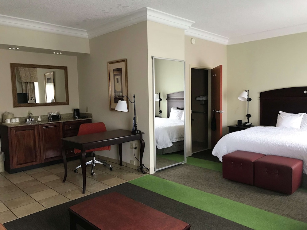 Suite, 1 King Bed, Non Smoking - Photo 1