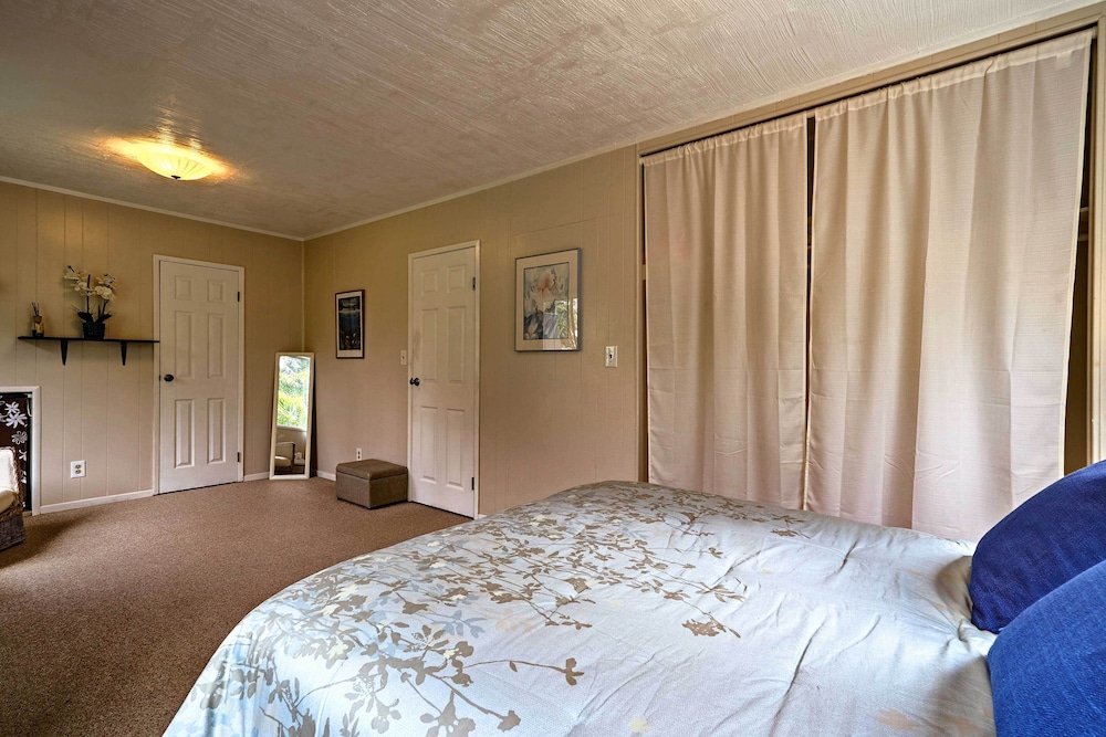 Apartment (1 Bedroom) photo 2