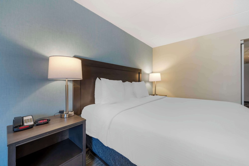 Standard Room, 1 King Bed, Accessible, Refrigerator & Microwave - Photo 4