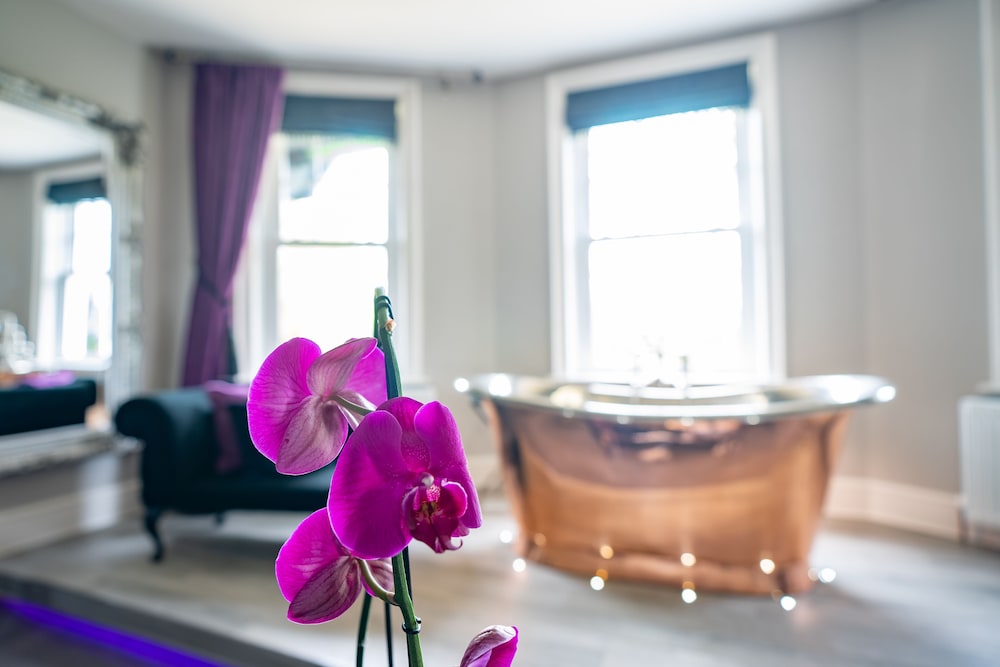 Luxury Suite photo 2
