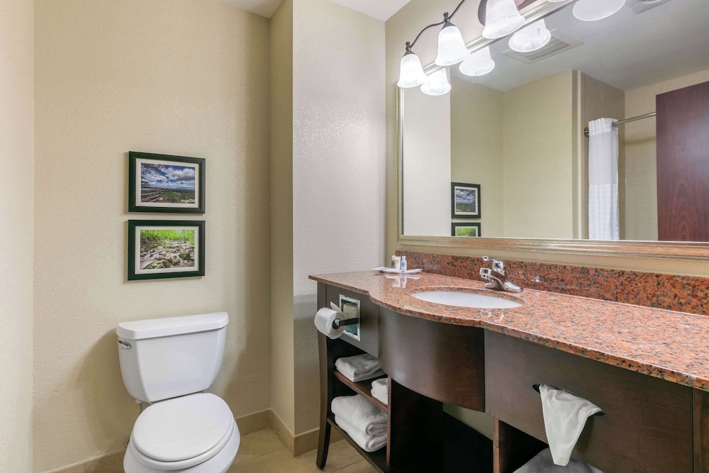 Suite, 1 King Bed with Sofa bed, Non Smoking photo 3