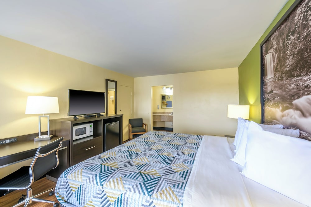 Deluxe Room, 1 King Bed, Non Smoking photo 2