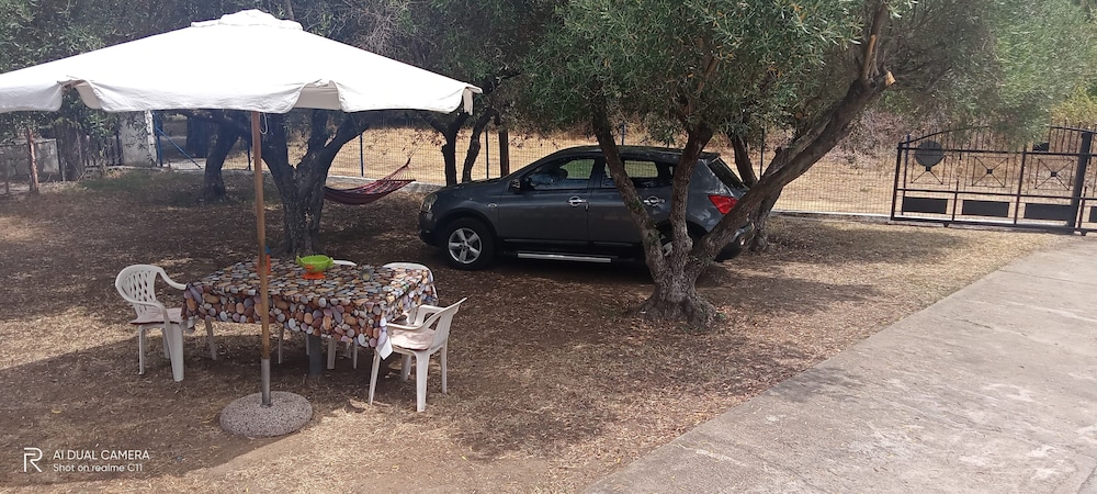 Basic Villa photo 2