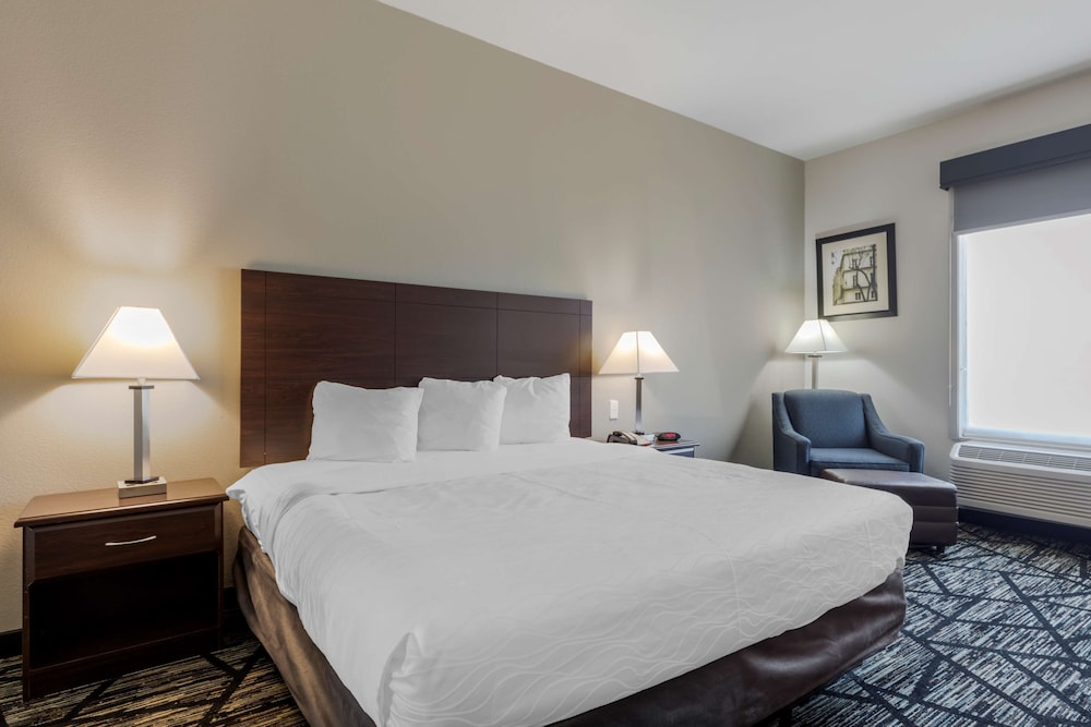 Standard Room, 1 King Bed, Non Smoking, Refrigerator & Microwave photo 1