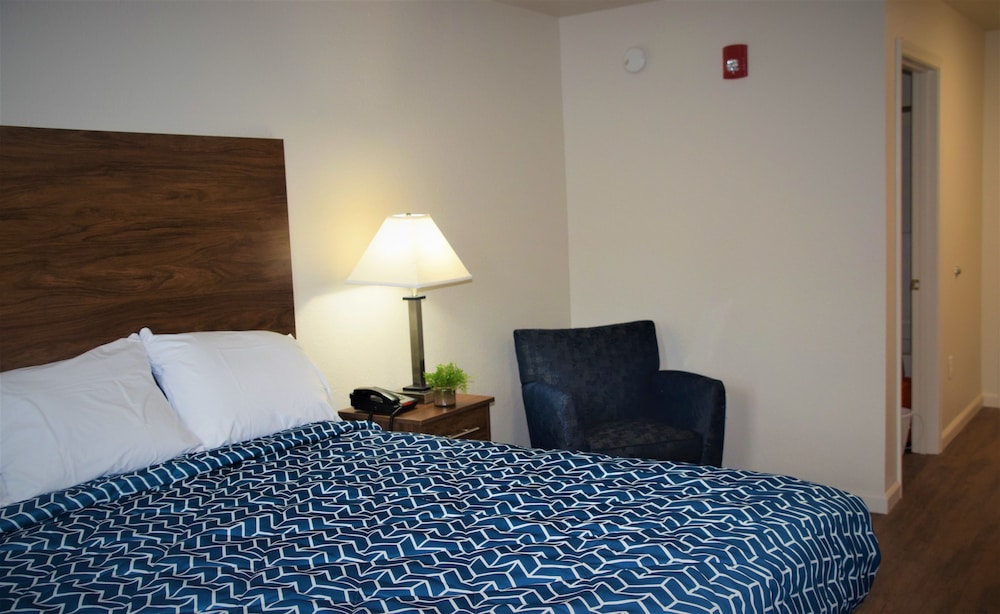 Single Room, 1 King Bed