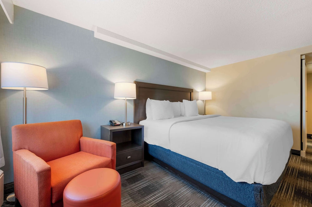 Standard Room, 1 King Bed, Accessible, Refrigerator & Microwave - Photo 5
