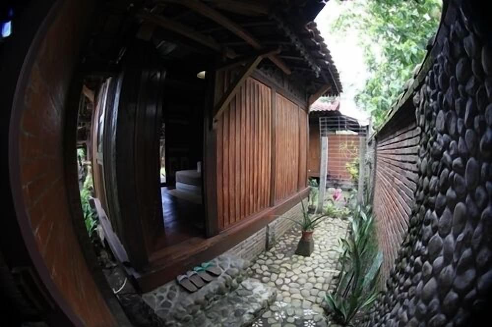 Bungalow photo 3