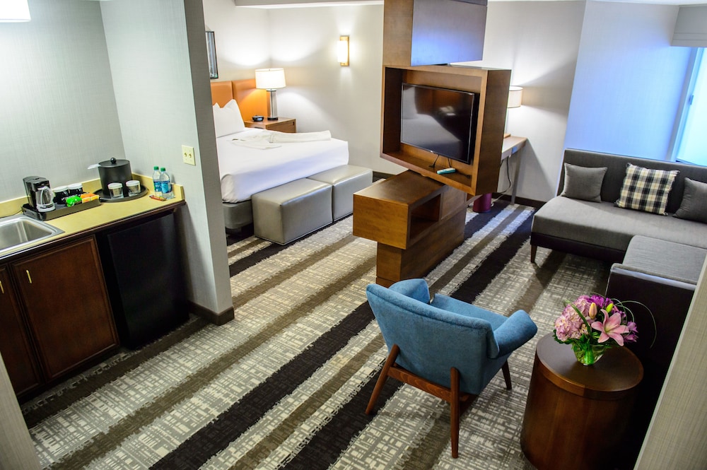 Premium Room, 1 King Bed, Accessible Bathtub (Communications, Accessible Tub) photo 3