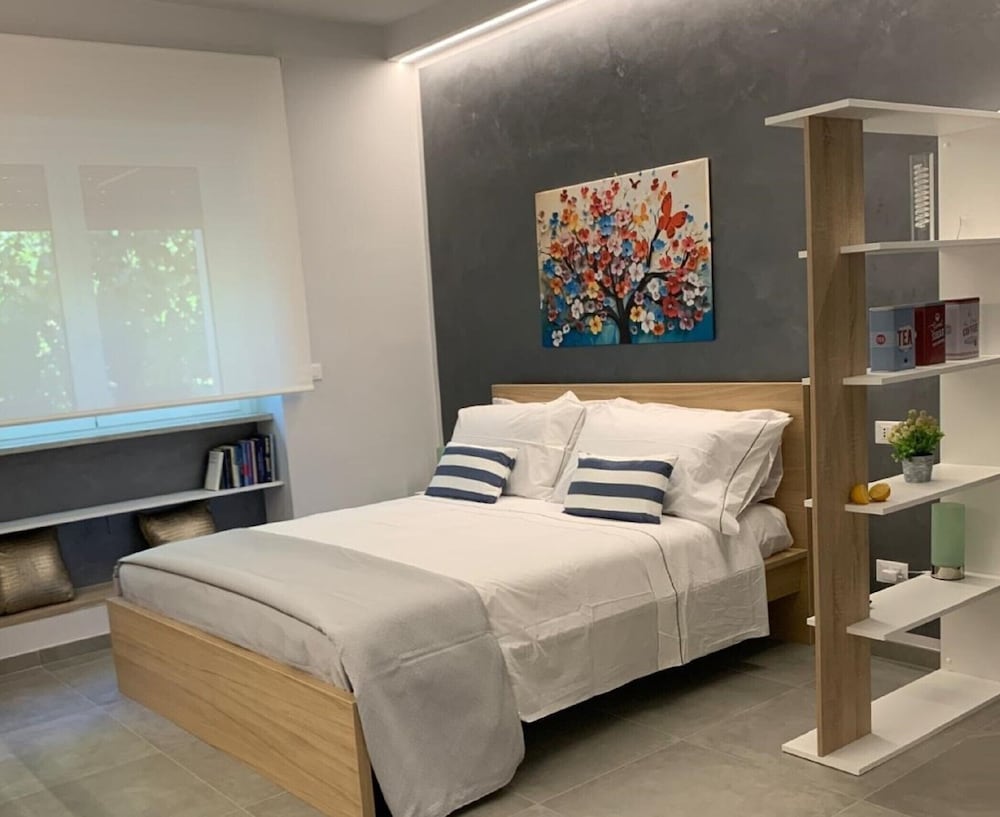 Superior Studio, 1 King Bed with Sofa bed, Garden View photo 1