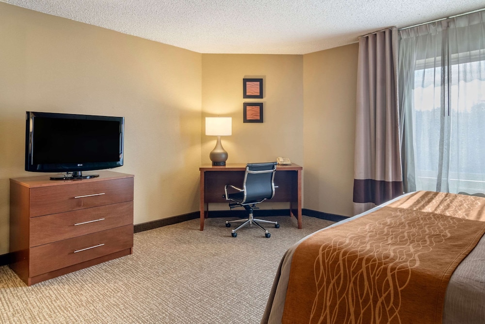 Suite, 1 King Bed with Sofa bed - Photo 4