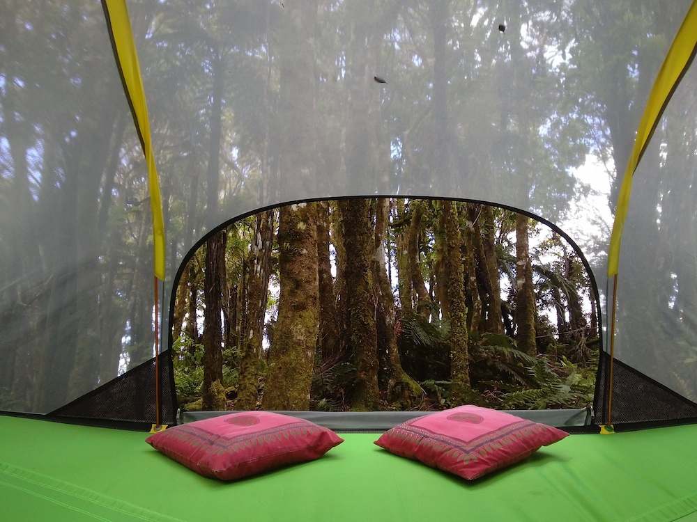 Large Tent photo 2