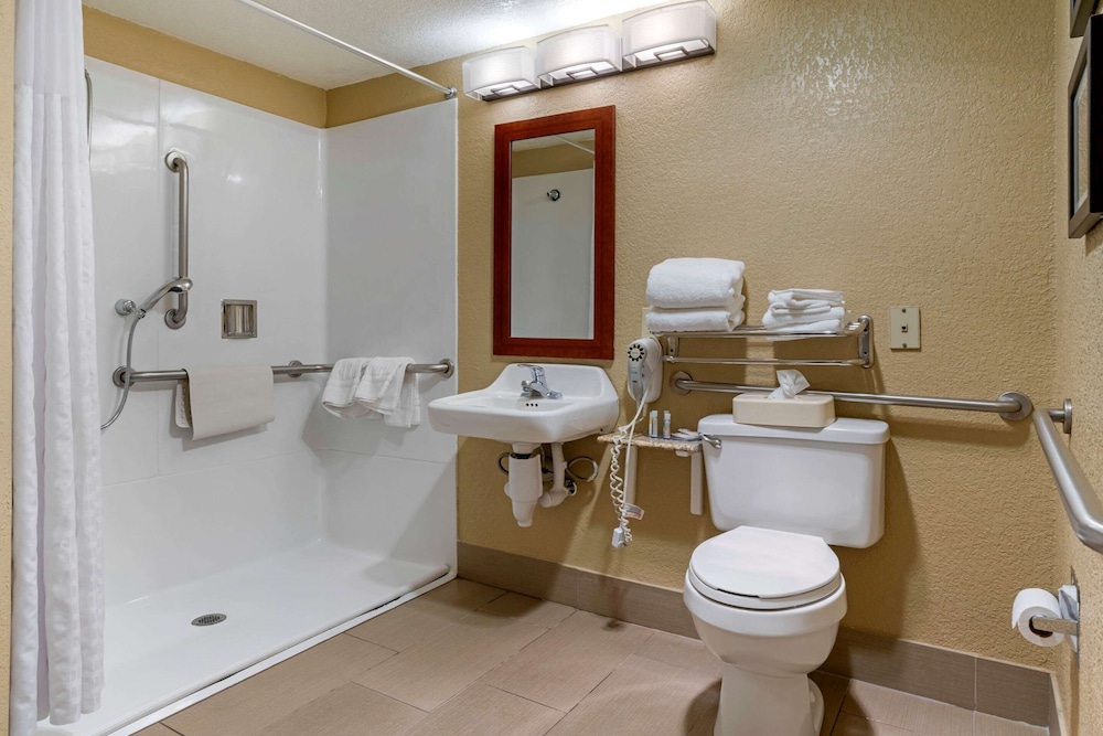Room, 1 King Bed, Accessible, Non Smoking (Mobility, Roll-In Shower) - Photo 5