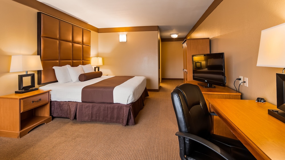 Comfort Single Room photo 3