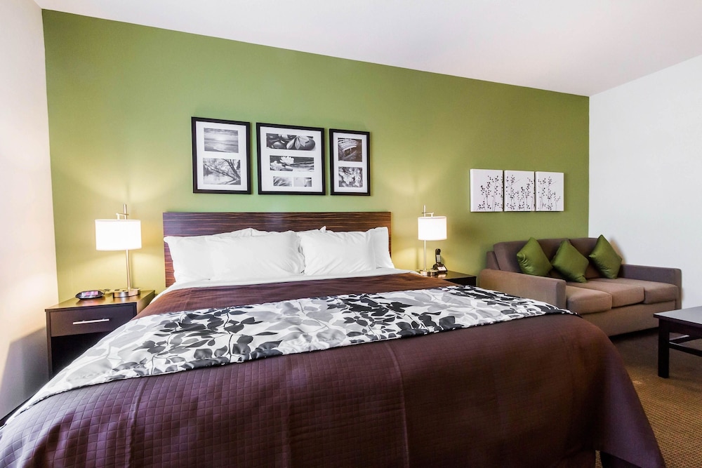 Suite, 1 King Bed with Sofa bed, Accessible, Non Smoking photo 3