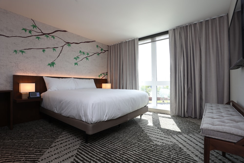Suite, Accessible photo 2