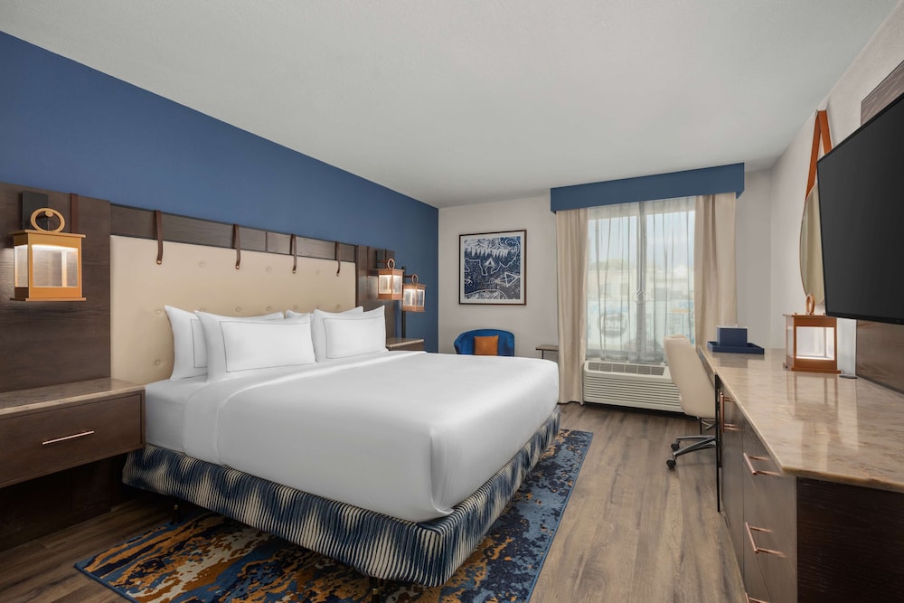 Room, 1 King Bed, Accessible (Roll-In Shower) - Photo 2