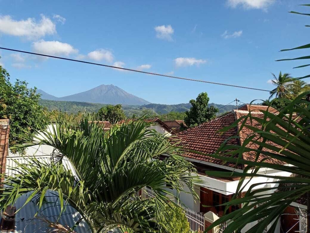 Premium House photo 3
