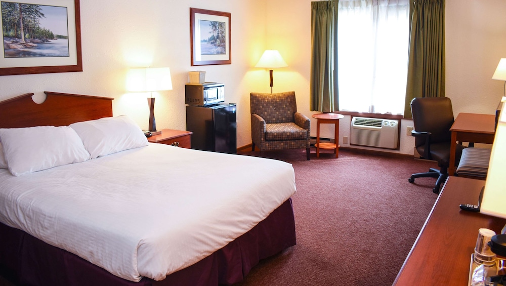 Room, 1 King Bed, Non Smoking (Non Pet-Friendly) photo 1