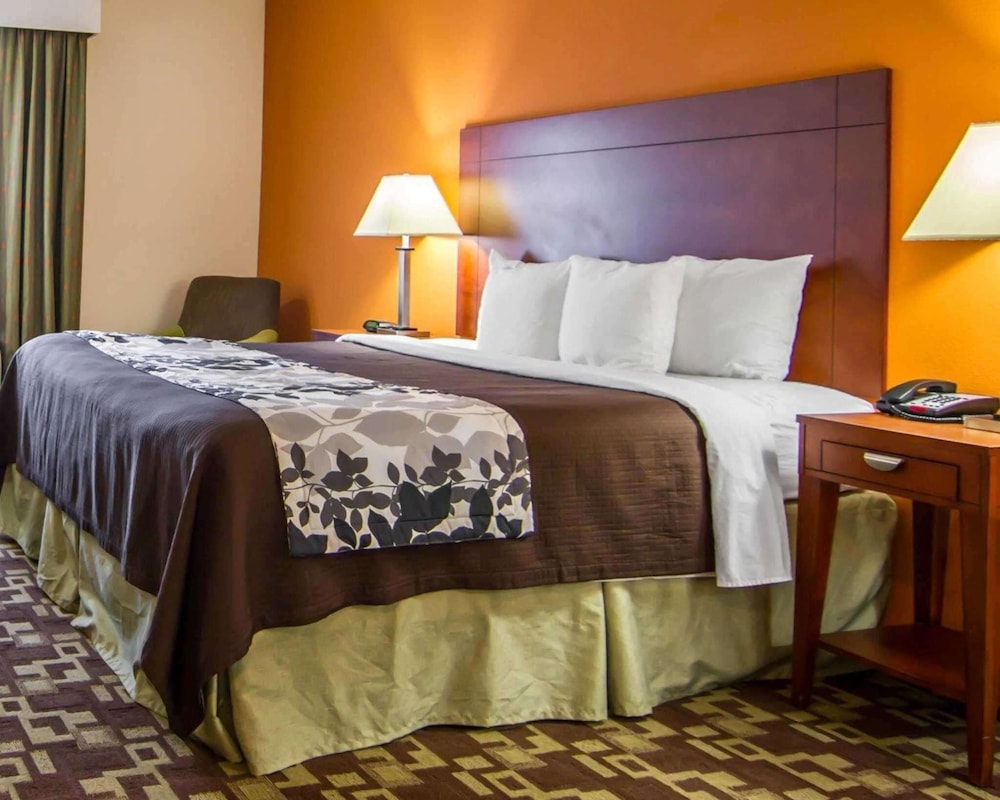 Room, 1 King Bed, Accessible, Non Smoking - Photo 1