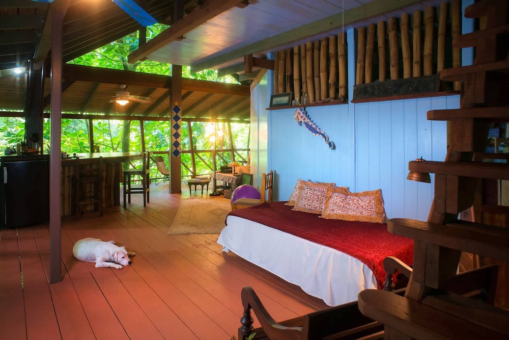 Design Tree House photo 2