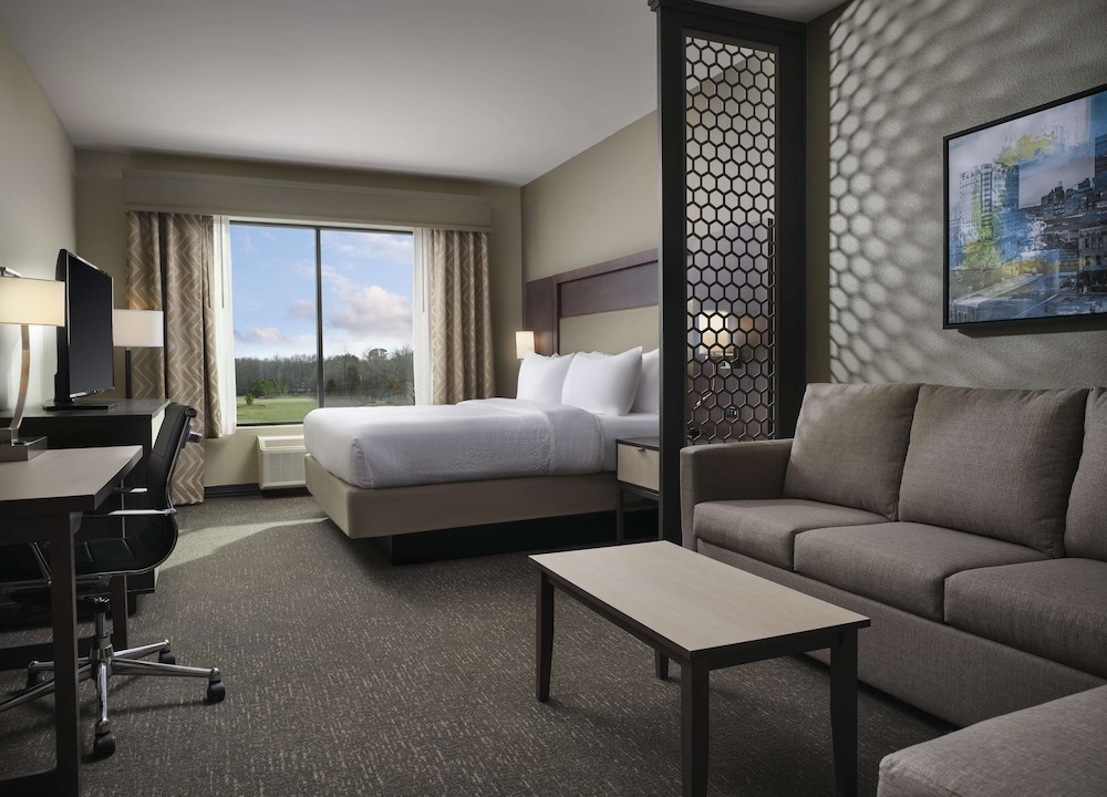 Suite, 1 King Bed, Accessible, Refrigerator & Microwave (with Sofabed) - Photo 1