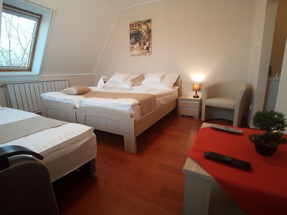 Superior Room, City View photo 3