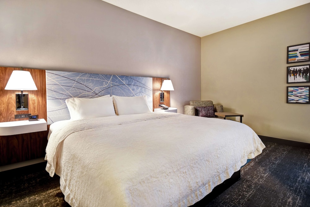 Room, 1 King Bed, Accessible (Mobility, Roll-in Shower) - Photo 3
