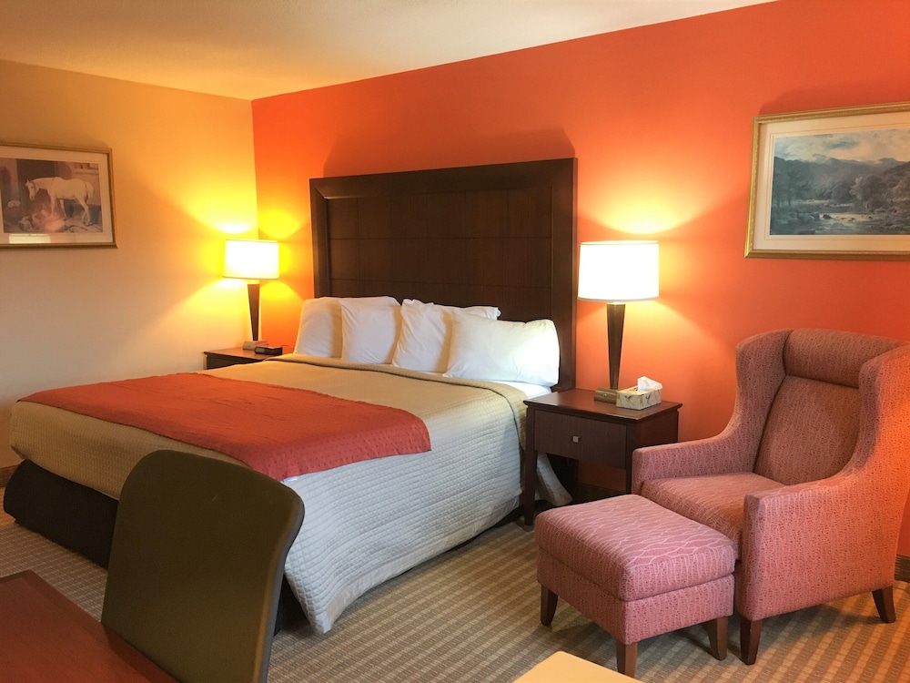 Standard King Room photo 3