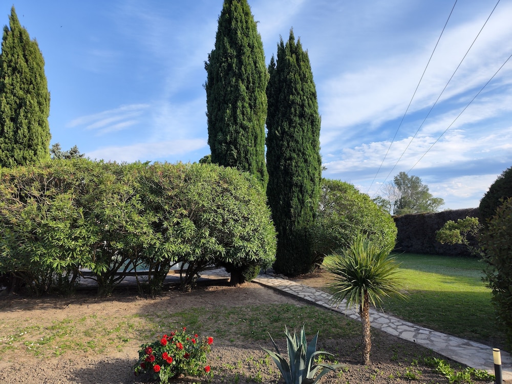 Deluxe Suite, Garden View photo 3