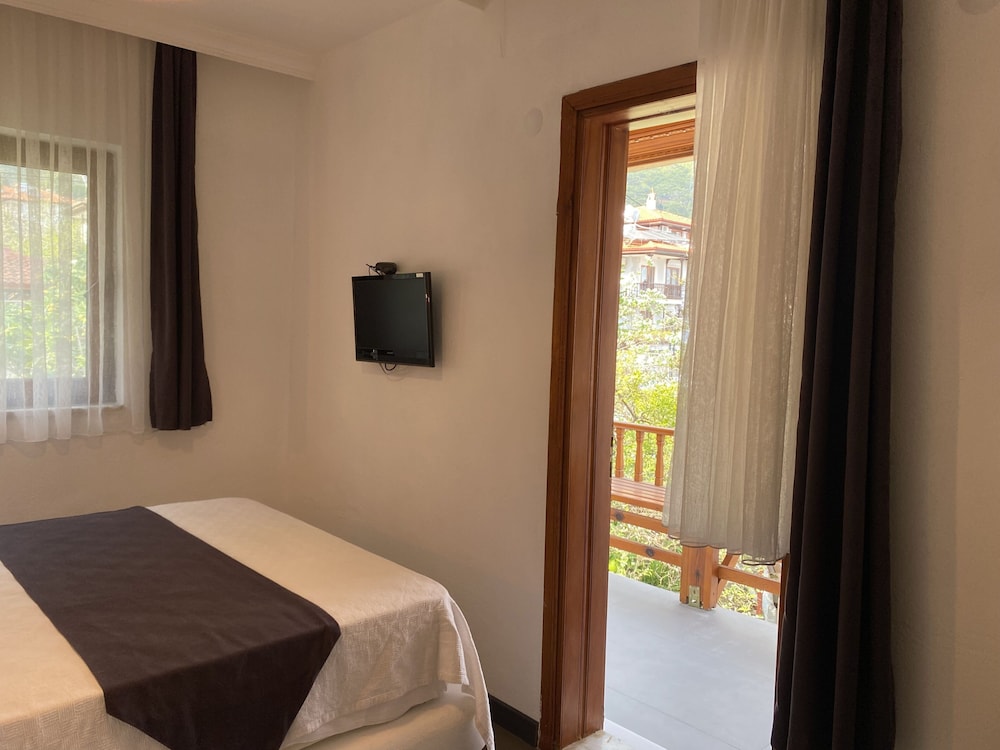 Standard Room, Balcony, Mountain View photo 3
