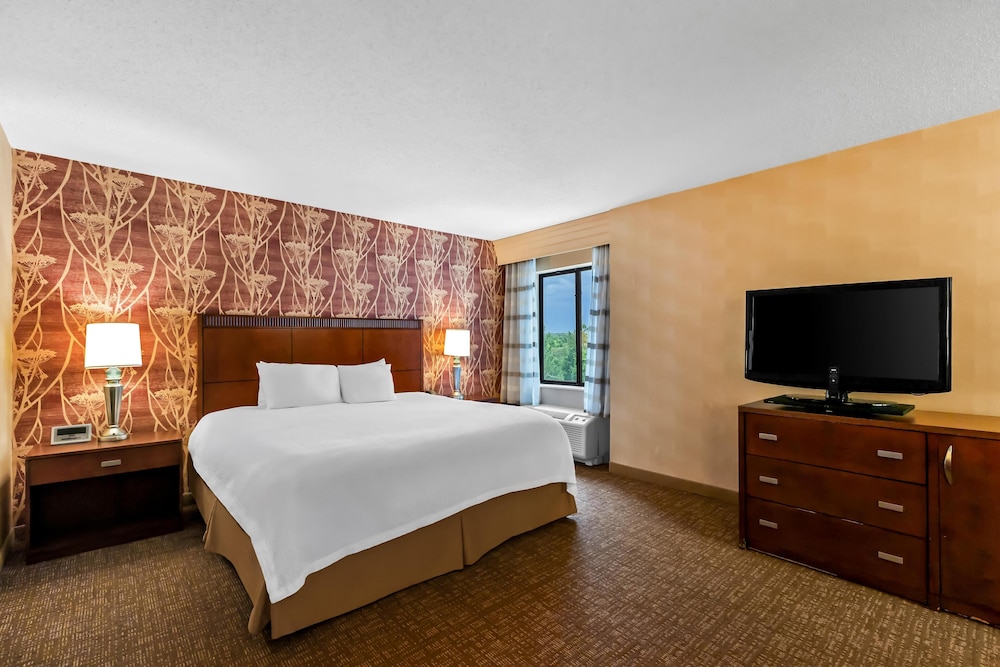 Suite, 1 King Bed, Accessible - Photo 3