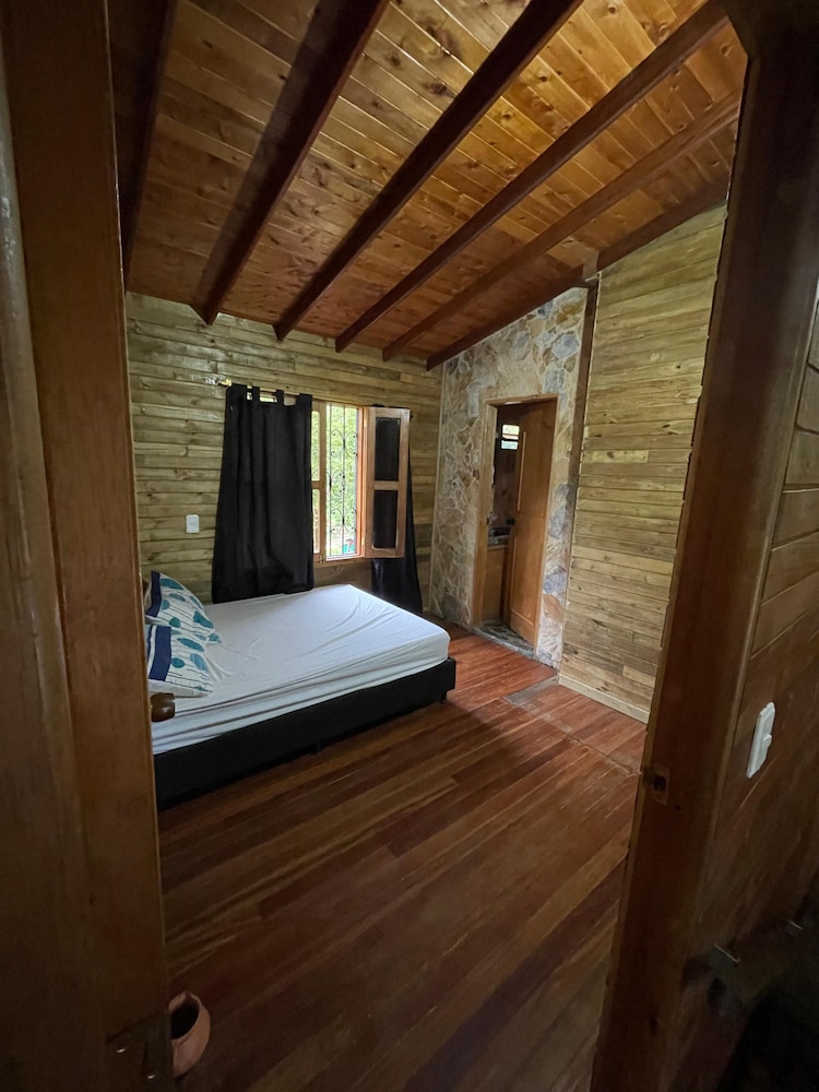 Premium Cabin photo 3