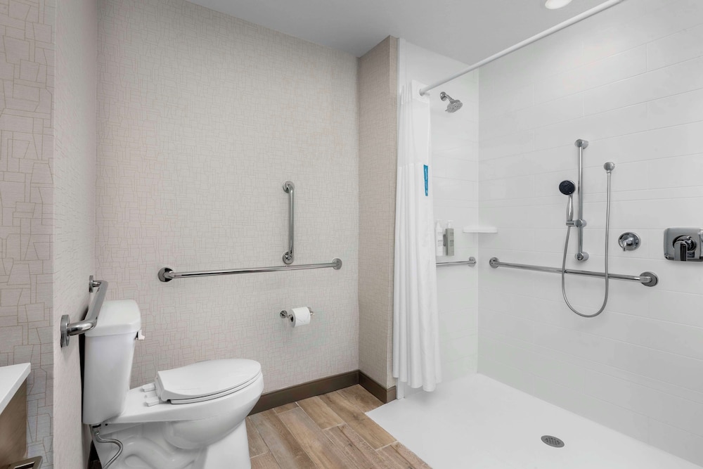 Room, 1 King Bed, Accessible (Mobility/Hearing, Roll In Shower) - Photo 6