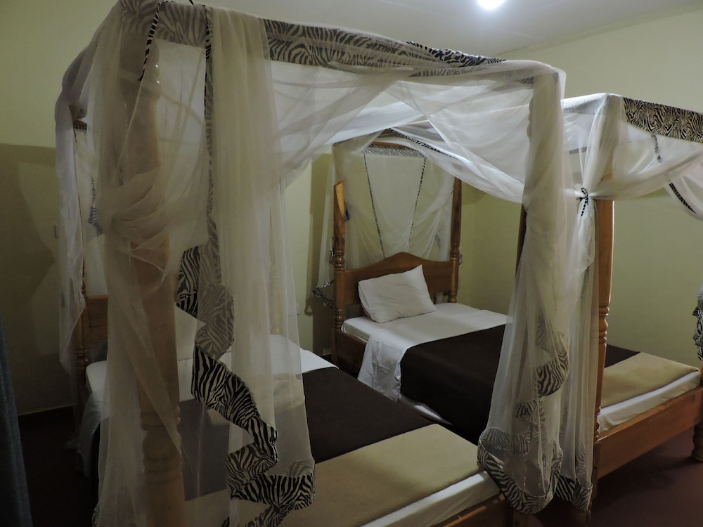 Basic Twin Room photo 2