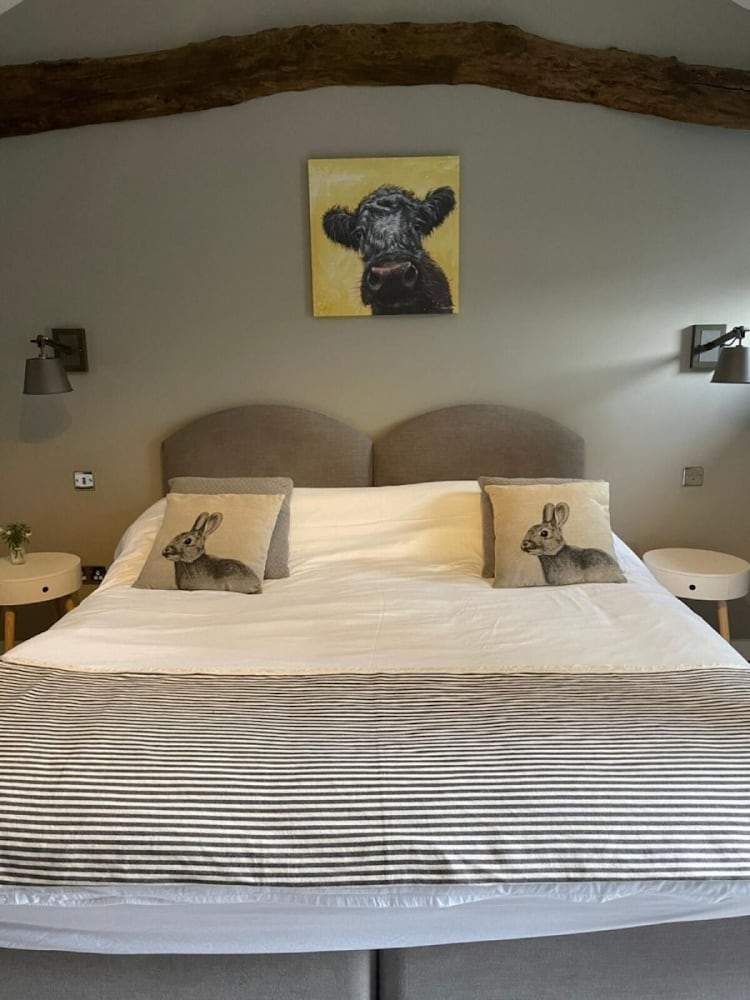 Deluxe Double or Twin Room, Ensuite (Double) - Photo 4