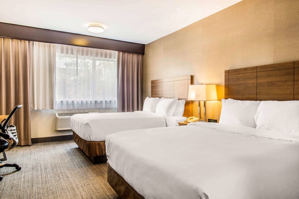 Quadruple Room, 2 Queen Beds - Photo 1