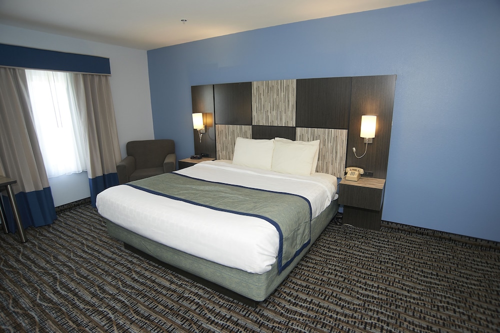 Single Room, 1 King Bed, Accessible - Photo 3
