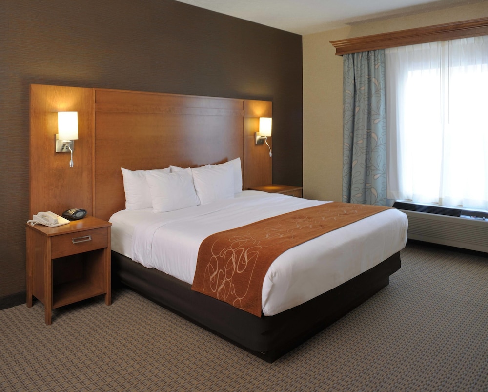 Suite, 1 King Bed - Photo 3