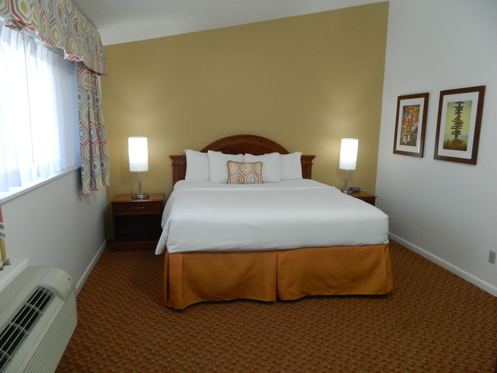 Standard Single Room, 1 King Bed, Non Smoking, Refrigerator