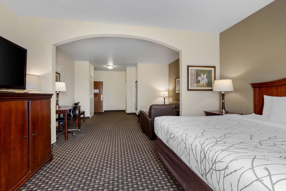 Suite, 1 King Bed, Accessible, Bathtub (with Sofabed) photo 2