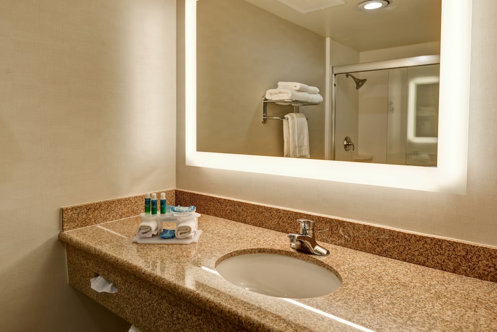 Standard Room, 1 Queen Bed, Accessible (Mobility) - Photo 3