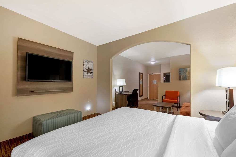Suite, 1 King Bed, Non Smoking, Refrigerator & Microwave (with Sofabed) - Photo 2
