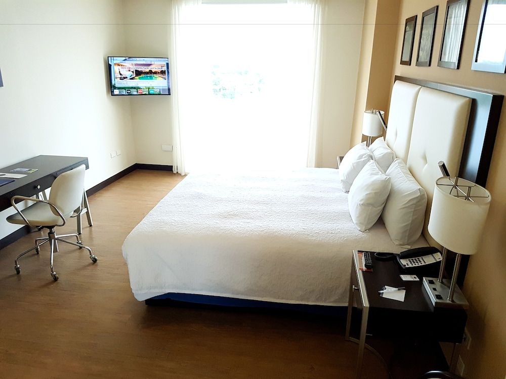 Room, 1 Queen Bed, Refrigerator & Microwave photo 3