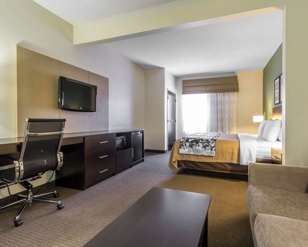 Suite, 1 King Bed - Photo 1