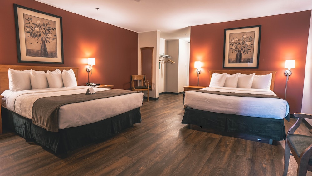 Suite, Multiple Beds, Non Smoking (Pet Friendly) - Photo 5